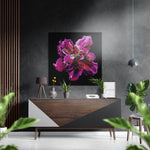 Magenta pioenroos – Dibond Schilderij