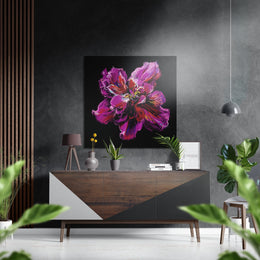 Magenta pioenroos – Dibond Schilderij