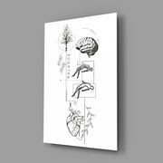 Balance Brain Heart Tree and Divers Glass Wall Art