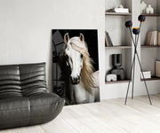 White Horse Flowing Mane Black Backdrop Glass Wall Art