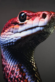 Dark Symbiote Noir — Impression gaufrée 3D haptique + laque brillante