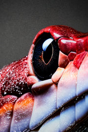 Dark Symbiote Noir — Impression gaufrée 3D haptique + laque brillante