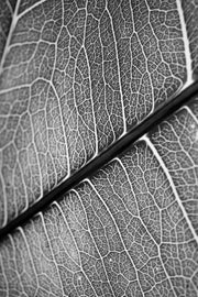 Silver Veins – 3D Relief Painting with Silver-Grey Leaf Veins