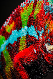 Gardien Prismaskin – Peinture en relief 3D avec caméléon coloré