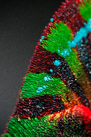 Gardien Prismaskin – Peinture en relief 3D avec caméléon coloré
