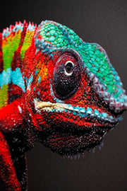 Gardien Prismaskin – Peinture en relief 3D avec caméléon coloré