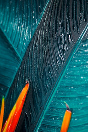 Teal Canopy Flame — Haptische 3D-Prägung + Glanzlackdruck