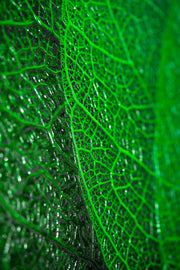 Verdant Lattice — Luxe 3D Relief Painting with High-Gloss Finish