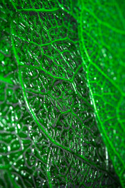 Verdant Lattice — Luxe 3D Relief Painting with High-Gloss Finish