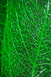 Verdant Lattice — Luxe 3D Relief Painting with High-Gloss Finish