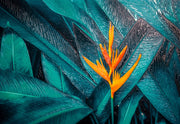 Teal Canopy Flame — Haptische 3D-Prägung + Glanzlackdruck