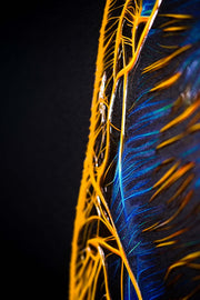 Neon Panther Pulse – 3D Relief Painting with Neon Panther and Electric Colors