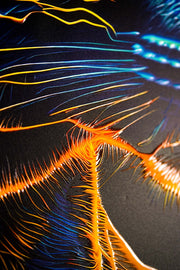 Neon Panther Pulse – 3D Relief Painting with Neon Panther and Electric Colors