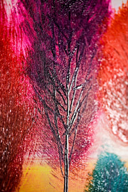 Bos chromatique rayonnant – Peinture en relief 3D avec arbres colorés
