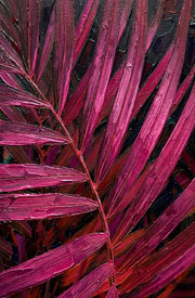 Magenta Midnight Frond – Peinture en relief 3D avec feuille tropicale
