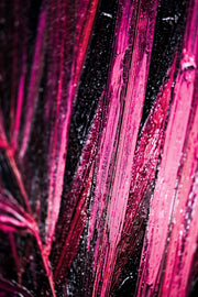 Magenta Midnight Frond – Peinture en relief 3D avec feuille tropicale