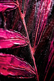 Magenta Midnight Frond – Peinture en relief 3D avec feuille tropicale