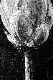 Monochrome Lotus Manifest — A Textured Vow in Black & White