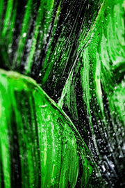 Verdant Tropics Infusion — Luxe 3D Relief Wall Art with High-Gloss Finish
