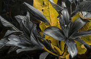 Noir Lilies & Gilded Shadows – 3D Relief Painting with Black Lilies and Gold Leaf Structure