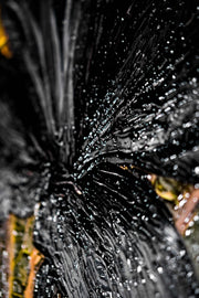 Noir Lilies & Gilded Shadows – 3D Relief Painting with Black Lilies and Gold Leaf Structure