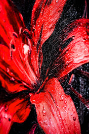 3D Relief Painting – Deep Red Lilies – Black & Red – Luxury Wall Decor
