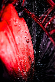 3D Relief Painting – Deep Red Lilies – Black & Red – Luxury Wall Decor