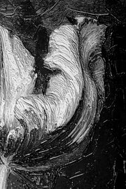 Obsidian & Ivory Grace – 3D Relief Painting with White Tulips and Black Background