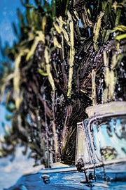 Tableau en relief 3D – Cabriolet bleu classique – Paysage tropical – Décoration murale de luxe