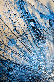 Sapphire Dew Dandelion – 3D Relief Painting with Blue Dew and Dandelion