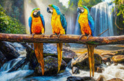 Tropical Trio Haven – 3D Relief Painting with Colorful Macaws and Tropical Waterfall