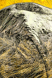 3D-Reliefbild Golden Savannah Sentinel – Nashorn – Luxuriöse Wanddekoration
