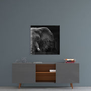 Elephant Glass Wall Art
