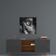 Wolf's Eye Glass Wall Art