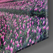 Vierkant Glasschilderij Tulp field