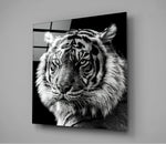 Tiger's Look Glass Wall Art | Insigne Art Design