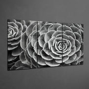 Glass Wall Art