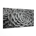 Glass Wall Art