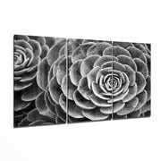 Glass Wall Art