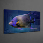 Queen Angel Fish Glass Art