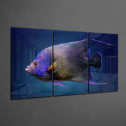 Queen Angel Fish Glass Art