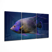 Queen Angel Fish Glass Art