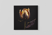 Gouden Roos – Modern Canvas Schilderij – Vierkant Canvas Kunst voor de Muur