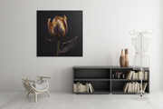 Gouden Roos – Modern Canvas Schilderij – Vierkant Canvas Kunst voor de Muur