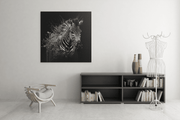 Zebra – Canvas Wandkunst in Vierkante Uitvoering