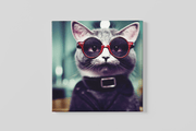 Coole Kat – Vierkante Canvas Wanddecoratie – Canvas Schilderij als Wanddecoratie