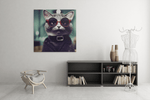 Coole Kat – Vierkante Canvas Wanddecoratie – Canvas Schilderij als Wanddecoratie