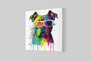 Kleurrijke Bulldog – Vierkant Canvas Schilderij voor de Wand
