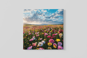 Bloemenveld – Modern Canvas Schilderij – Vierkant Canvas Kunst voor de Muur