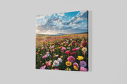Bloemenveld – Modern Canvas Schilderij – Vierkant Canvas Kunst voor de Muur